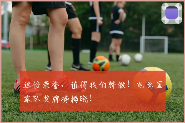 这份荣誉,值得我们骄傲!电竞国家队奖牌榜揭晓!